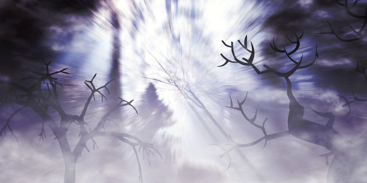 Understanding Provigil: Uses, Effects, And Concerns