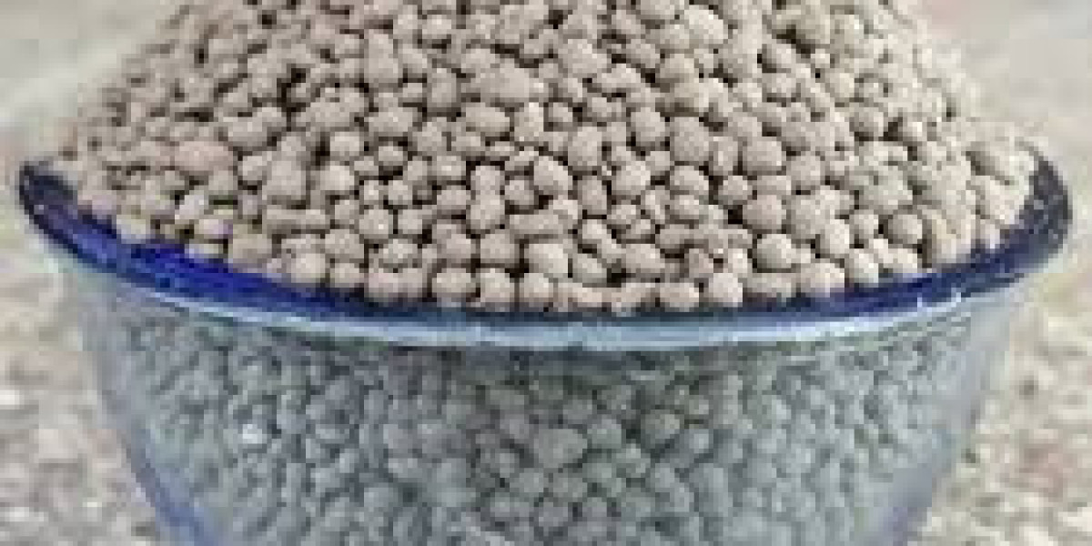 Silicon Fertilizers Market future outlook predicting transformative growth through global sustainable farming initiative