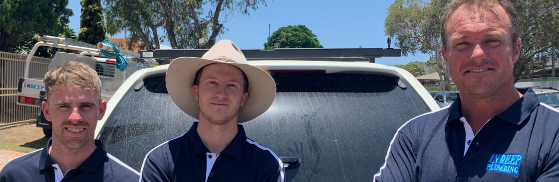 In Deep Plumbing Cover Image