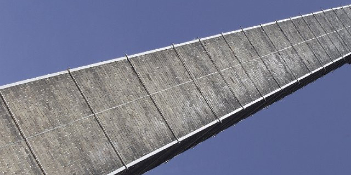 Insulinähnlicher Wachstumsfaktor I (IGF-I); SM-C