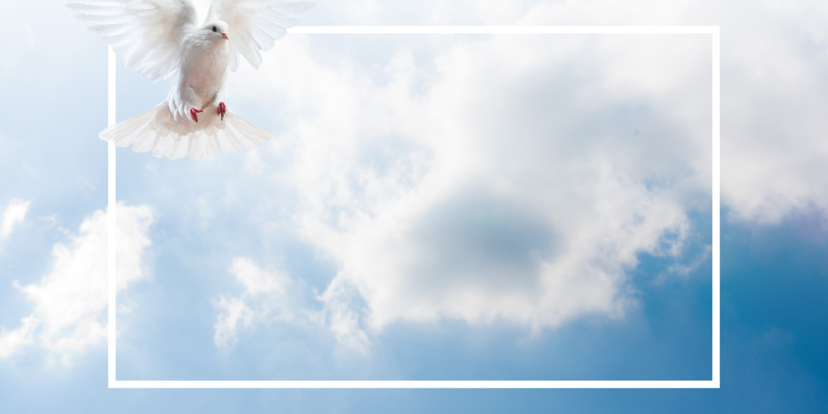 Fidelity Investments Gold IRA: A Comprehensive Case Study