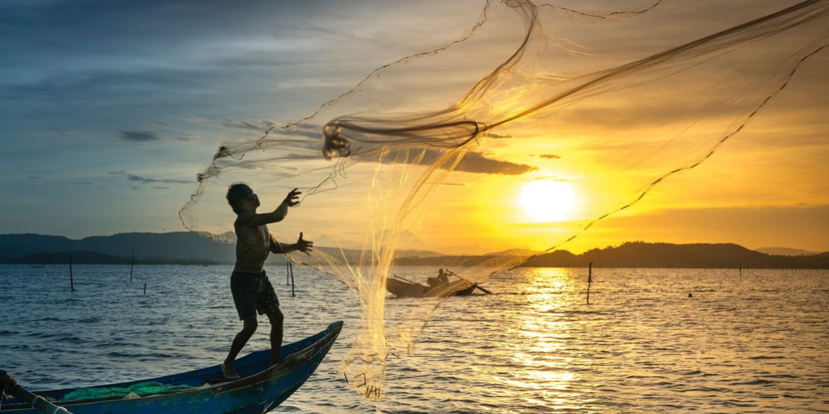 Florida Fishing Charters: Explore the Best Spots with Expert Guides