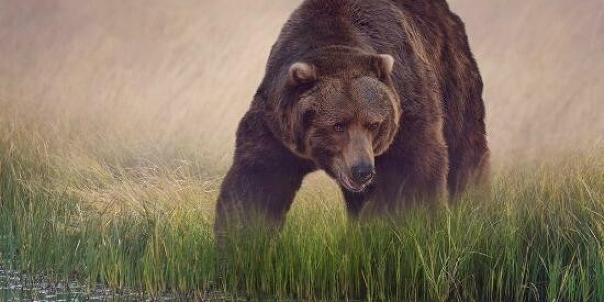 Adjustable-rate Mortgages are Built For Flexibility