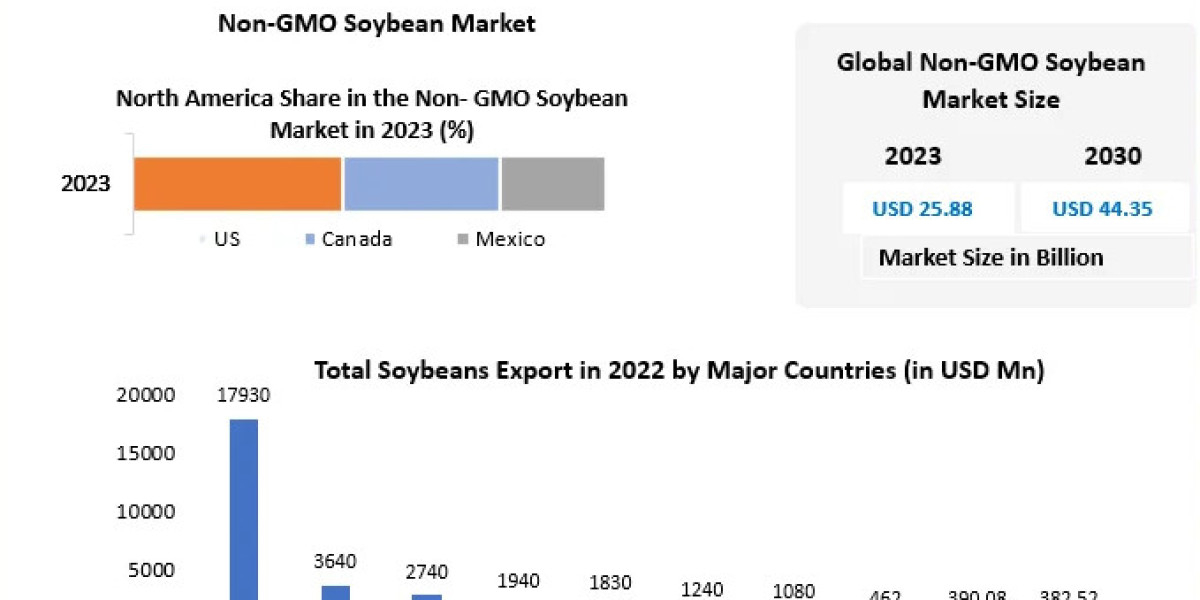 Non-GMO Soybean Market Forecast: Competitive Landscape and Leading Non-GMO Suppliers